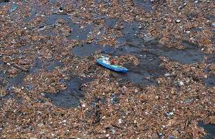 Massive Debris Island