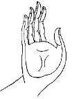 Abhaya mudra, signifies fearlessness