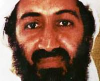 'Hollywood' Osama Bin Laden
