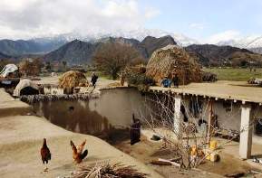 Afghan village -- the 2 roosters in foreground are disguised Taliban!