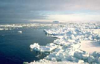 Open water in sea ice