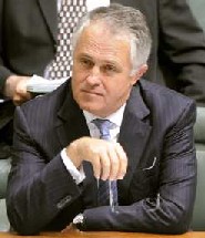 Malcolm 'sachs' Turnbull