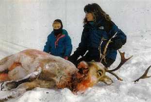 Sarah Palin hunting Caribou